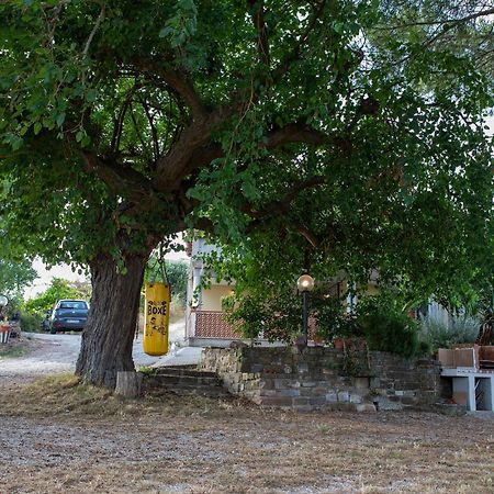 Casa Vacanze Diamante オリアストロ・チレント エクステリア 写真